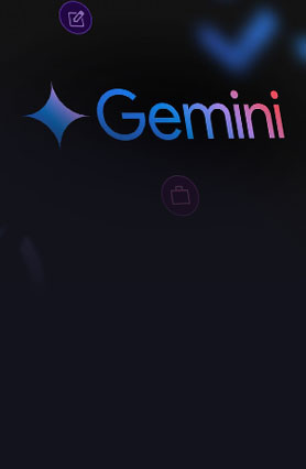 Google Gemini / SGE